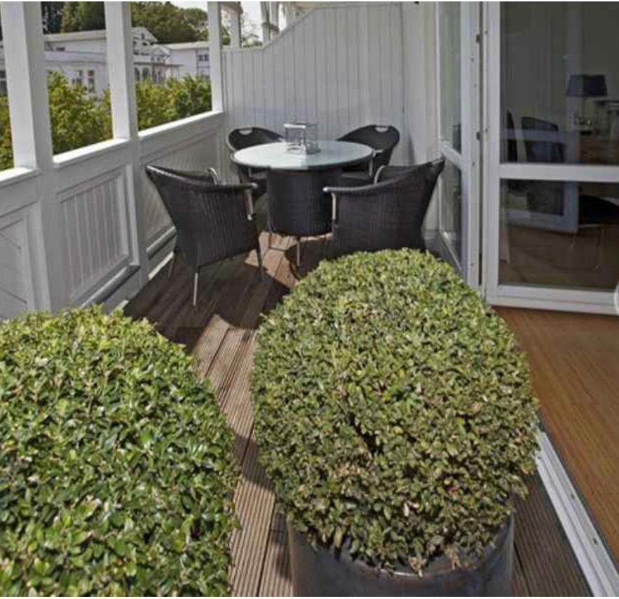Apartment Alice Strandvogel Mit Balkon Binz